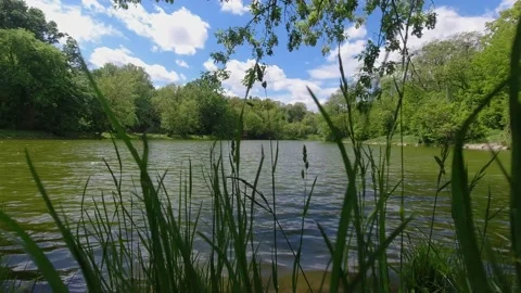 Timelapse of the lake in the park Stock Footage 130929103