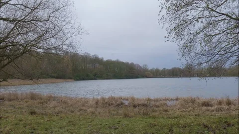Timelapse lake shot Stock Footage 102403067