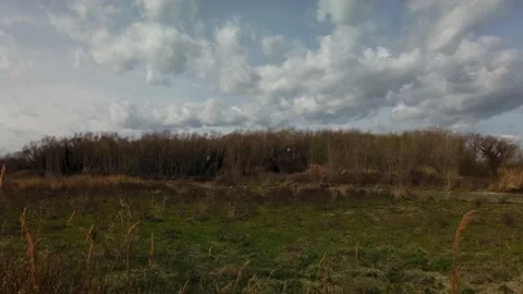 Timelapse landscape clouds woods 4k blue sky - timelapse panorama con nuvole Stock Footage 235196047