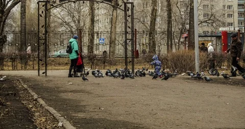 Timelapse of the landscape, the landscape Stock-Footage 129623018