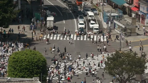 TimeLapse - Landscape of scrambled intersection in Tokyo Shibuya in Japan Stock Footage 94490534