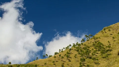Timelapse Landscape Slope and Trees with rolling skies Stock Footage 106488232
