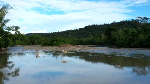 Timelapse of a large shallow river with many tropical trees alongside the river Stock Footage 142748311