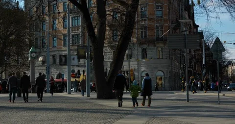 Timelapse of a large tree and people walking by in rush hour Stockholm Stock Footage 94221412