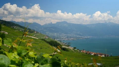 Timelapse Lavaux Landscape Stock Footage 93400876