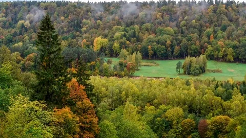 Timelapse light clouds over the forest. Stock Footage 81045185