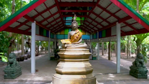 Timelapse lighting Buddha Statue in the sanctuary. Video stock 132241968