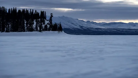 Timelapse of a line of fir trees at sunset Video stock 210229467