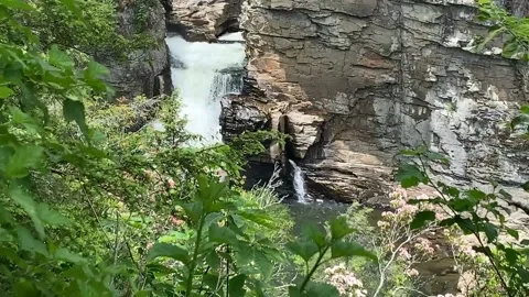 TIMELAPSE-LINVILLE FALLS WATERFALL Vídeo Stock 132290975