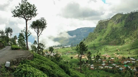 Timelapse of Lipton valley, wide shot on tea plantations in Sri Lanka Stock Footage 61785871
