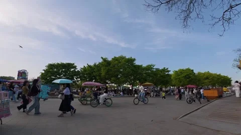 Timelapse of a lively park Stock Footage 333328302