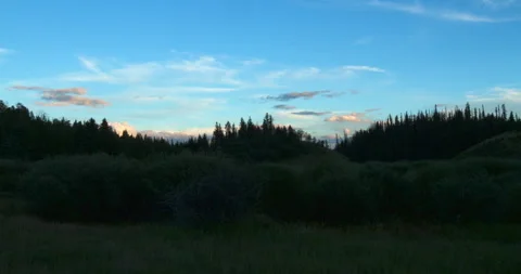 Timelapse Lockdown Of A Sunset Over A Lush Grove Of Pine Trees - Creede, Stock Footage 243272374