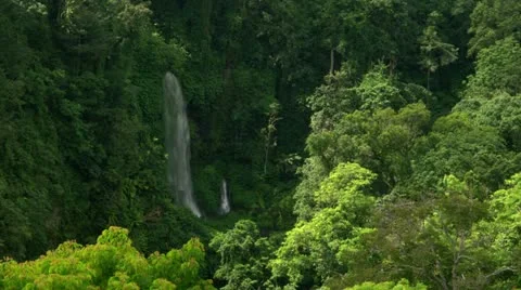 Timelapse Lombok jungle Видео 11585457