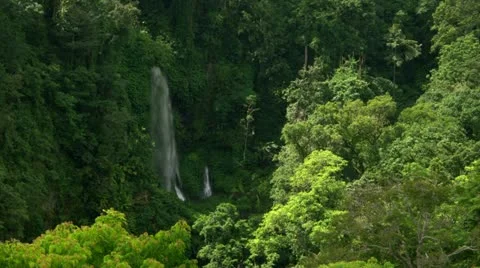 Timelapse Lombok jungle Stock-Footage 11604206