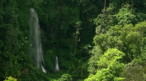 Timelapse Lombok jungle 스톡 동영상 11604207