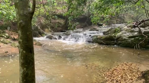TIMELAPSE- LOOKING UPSTREAM AFTER RAIN WITH SUN PEAKING OUT AND STEAM ON WATER Stock Footage 131337007