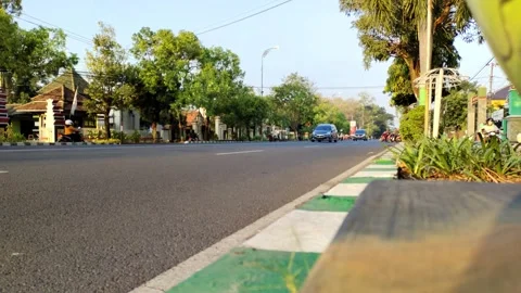 Timelapse of Low Angle Busy Street with Cars and Greenery Stock Footage 280369912