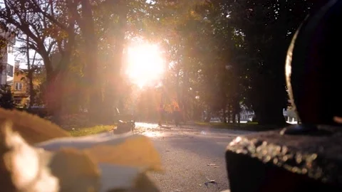 Timelapse. a Low Angle Shot of a Pathway in a Park in Autumn, 4K Stock-Footage 144336695