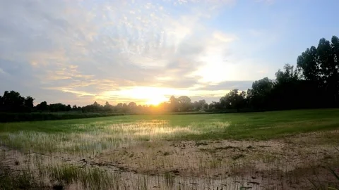 TimeLapse low angle view of the morning sun on a blue sky with clouds The sun 動画素材 158373116
