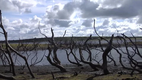 Timelapse on low level lake Stock Footage 277877810