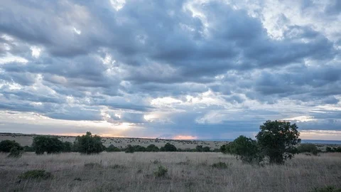 Timelapse of Maasai Mara in the evening Stock Footage 87454692
