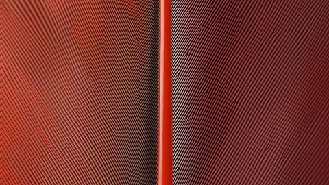 Timelapse macro of red macaw feathers aligning into a perfect symmetrical Stock Footage 310280159