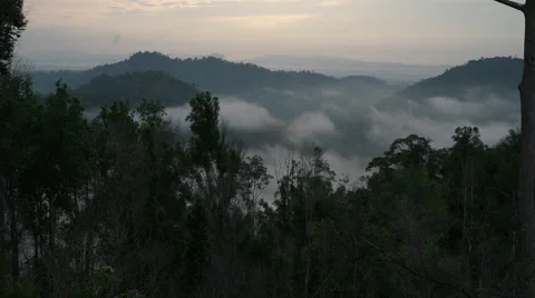 Timelapse Malaysia Clouds On Trees Stock Footage 67373104