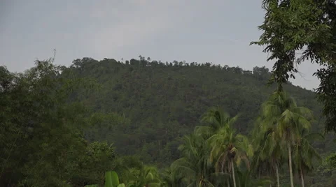 Timelapse Malaysia View of Hill Stock Footage 67561604