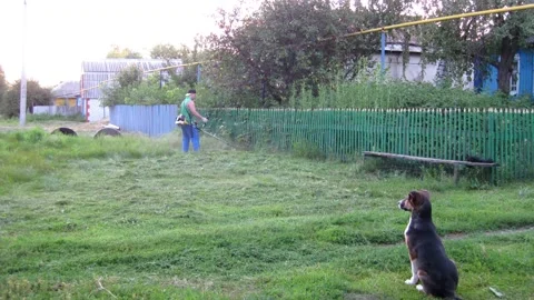 Timelapse of a man using a gasoline-powered string trimmer in a Russian village Video stock 106701794