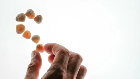 TimeLapse. A man's hand spreads from the shells the word sea on a white backgrou Video stock 91976442