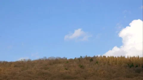 Timelapse - Many clouds behind the horizon of a forested hill Stock Footage 134162328