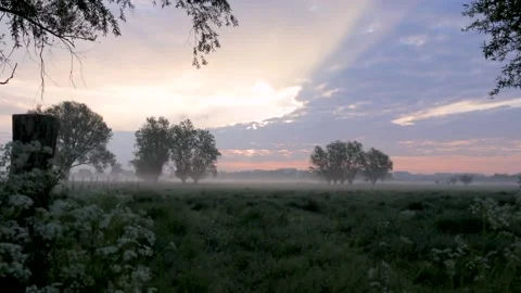 Timelapse of a meadow during sunrise Vídeos de archivo 152976153