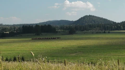 Timelapse meadow in mountains, Bieszczady. Stock Footage 65038276