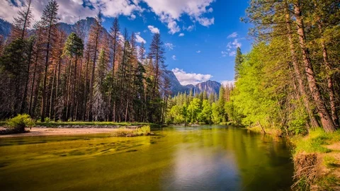 Timelapse - Merced  River Running through Yosemite Valley - USA Stock Footage 91574192