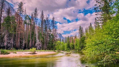 Timelapse - Merced  River Running through Yosemite Valley - USA Stock Footage 92867363