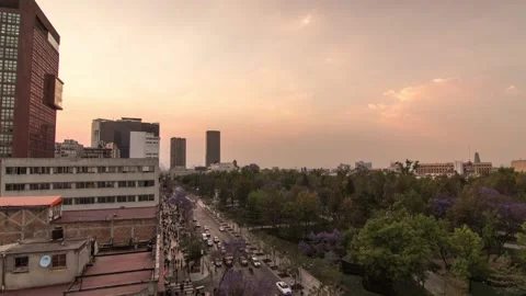 Timelapse Mexico: Alameda Sunset Stock Footage 146288497