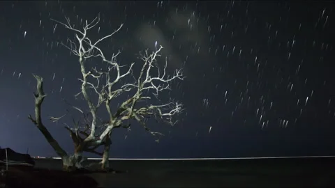 Timelapse Mexico: Star Trails Stock Footage 146283175