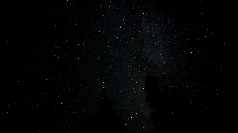 Timelapse of Milky Way at night with pine trees in foreground Stock Footage 120660262