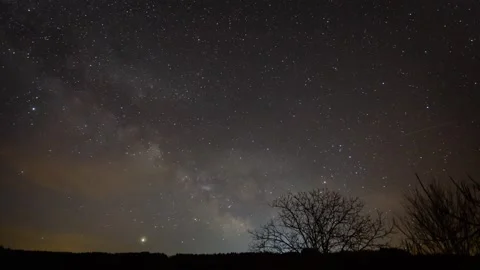 Timelapse of a Milky way rising over trees in 4K Stock Footage