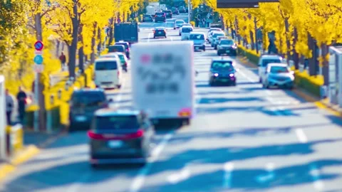 A timelapse of miniature traffic jam at the yellow gingko street in autumn Stock Footage 324951696