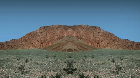 Timelapse mirrored flowers 스톡 동영상 11608793