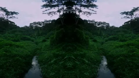 Timelapse mirrored jungle Stockbeeldmateriaal 11608858