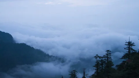 Timelapse of the mist and cloud, trees in Mount Emei 4K Stock Footage 40745196