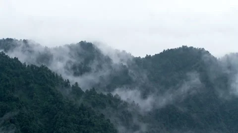 Timelapse of the mist and woods in Mount Emei 4K Stock Footage 40742758