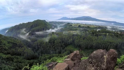 Timelapse of  mist movement in top of the forest Stock-Footage 70150043