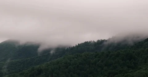 Timelapse of misty clouds on tree covered mountains. Stock Footage 84847906