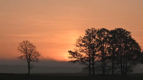 Timelapse: Misty sunrise behind the trees Stock Footage 165281107
