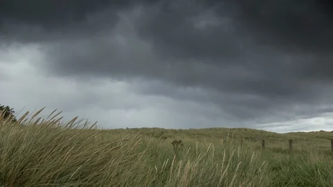 Timelapse of moody storm clouds moving over a field of crops 库存影片 99399698
