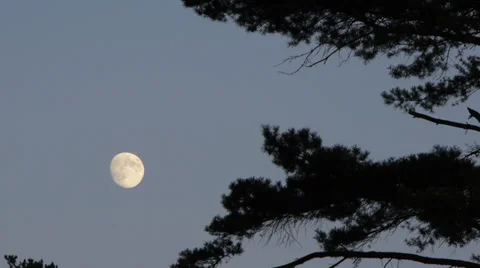 Timelapse of the moon Stock Footage 27493710