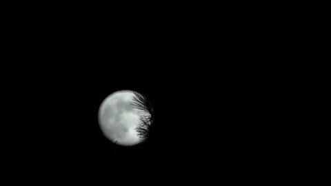 Timelapse of the Moon Stock Footage 90527916